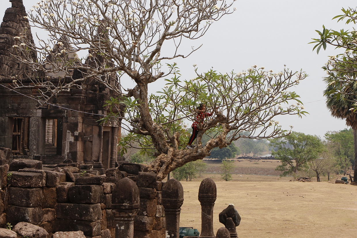 Wat Phu 0081